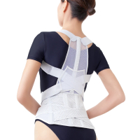 日本Alphax 日本製 腰背支撐帶 一入(護腰背 腰部保護 腰帶)