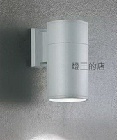 【燈王的店】舞光 庭園燈 戶外燈具 戶外壁燈 走道燈 OD-2102