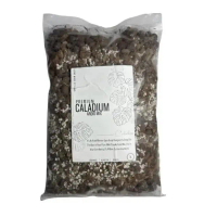 PREMIUM Aroid Mix For CALADIUM [3L] / Mix With 5 Ingredient / Tanaman CALADIUM / Aroid Potting Mix /