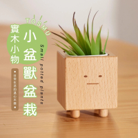【Monarch尊爵家】療育小盆獸盆栽(原木文創 台灣設計 花盆 盆栽 植栽 多肉 植物 花器 室內小盆栽 交換禮物)