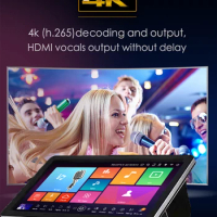 Home Karaoke System 18.5inch Touch Screen Karaoke Machine Karaoke Amplifier Karaoke Radio Karaoke Microphones HDMI 4K decording