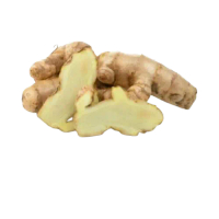 Temu putih segar 1kg / kunyit kunir putih curcuma zedoaria murah
