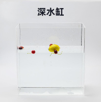 【可開發票】透明亞克力水槽攝影拍攝深淺水缸水箱定制水下懸浮創意拍照道具