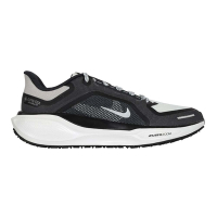 NIKE AIR ZM PEGASUS 41 GTX 男透氣緩震防水慢跑鞋 FQ1356-002 黑白銀
