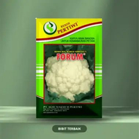Benih Kol Bunga Forum (10g) - Benih Pertiwi