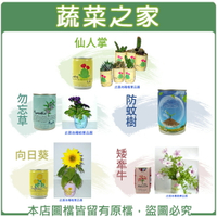 【蔬菜之家】iPlant易開罐花卉-向日葵、矮牽牛、仙人掌、防蚊樹、勿忘草