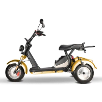 electric motorcycle 2022 Chinese manufacturer citycoco 4000w electric tricycles fast 3 wheel electric scooter chopper e scooter