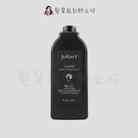 立坽『洗髮精』美科實業公司貨 juliArt覺亞 希沛絲蘊髮洗髮精(乾性頭皮)1000ml HS09 HS05 HS06