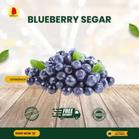 FRESH BLUEBERRY SEGAR - SUKABUAH
