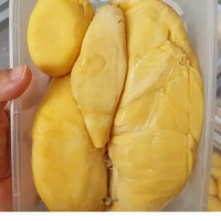 durian montong palu , 500 gr