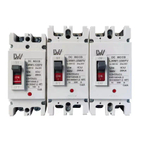เบรกเกอร์DC MCCB 2P ขนาด 100A/125A/150A/250A รุ่น LWM1-125 PV /LWM1-250PV ยี่ห้อ LW แบตเตอรี่เบรกเกอ