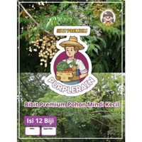 Bibit Premium Pohon Kayu Mindi|Biji Benih Pohon Kayu Mindi|Pohon Mindi