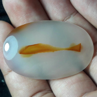 Natural Batu Akik Kristal Motif Gambar Ikan Hias Sapu2 Albino Antik