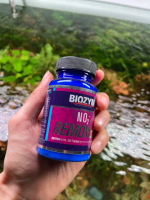 Khử NO2 trong bể cá - Biozym NO2 Remover