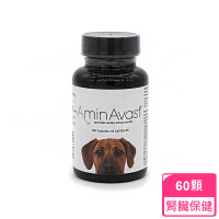 【美國 AminAvast】胺腎 1000mg 60顆 中大型犬用(胺腎 中老年貓犬急性 慢性腎衰竭維護)