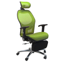 【LOGIS】阿爾邦雙網人體工學椅(全網椅 辦公椅 電腦椅)