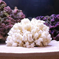 魚缸造景白珊瑚水族箱裝飾擺件 雙十一購物節
