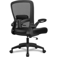 Ergonomic Office Chair with Adjustable High Back, Breathable Mesh, Lumbar Support