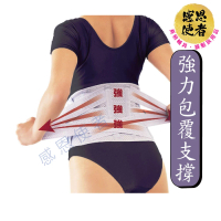 【感恩使者】ALPHAX 護腰帶 安定保護腰部 -尺寸 S-3L(日本製 阿路法克斯)