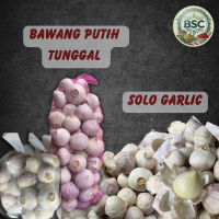 BSC BAWANG PUTIH TUNGGAL / SOLO GARLIC (500GM +-, 2KG+-)