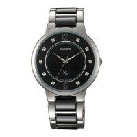 ORIENT 東方錶 官方授權 都會時尚淑女錶 鋼帶款 黑色-36mm(FQC0J005B)
