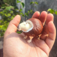 Action Figures Coconut Capybara Burbaloni Loliloli - patung Anomali Brainrot - Miniatur Brainrot - F