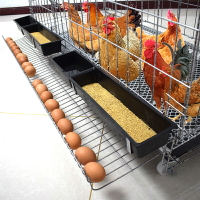 雞籠子 養殖籠 田雞籠 家用大 號特大 號養雞籠子鐵雞捨自動下蛋雞籠網