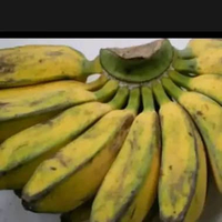 pisang kepok 1 sisir