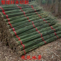 LZD  Bamboo Anti-Corrosion Bamboo Pole Decoration White and Yellow Thickness Bamboo Pole Vegetable G