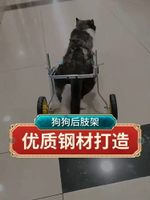 中大型狗輪椅推車金毛后肢殘疾無力寵物助力車薩摩康復訓練代步車