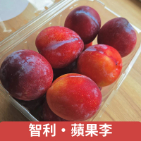【仙菓園】智利蘋果李 每盒1kg 三盒組(冷藏配送)