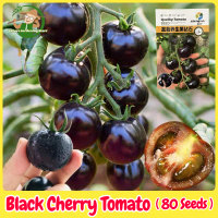 Fresh Organic Legit Black Cherry Tomato Seeds for Planting (80 Seed) High Yield Bonsai Cherry Tomato