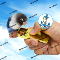 Reward Pointer Box Tempat Pakan Melatih Burung Parkit Lovebird Parrot - Silver