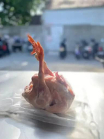AYAM MERAH MEDIUM FROZEN TANPA JEROAN karkas 1,4-1,5kg/ayam merah/ayam tua/ayam afkir/berat bersih/a