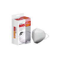 萊潔 N95醫療防護口罩-雪花白(20入/盒裝)(衛生用品,恕不退貨,無法接受者勿下單)