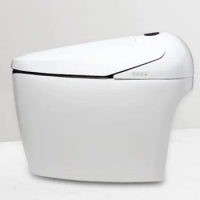 Newest bathroom smart toilet electric one piece bidet toilet automatic flushing electric one intelligent