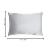 2pcs Pure Emulation Silk Satin Pillowcase Comfortable Pillow Cover For Bed Couch Sofa Home Office Throw Single Pillow Cove