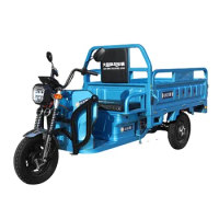 China High Quality Wholesale Bulk Electric Cargo Tricycle 1200W EEC Heavy Load Open Type Electric Tricycles Three Wheel Adult