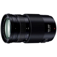 Panasonic 100-300mm F4.0-5.6II micro single camera telephoto zoom lens