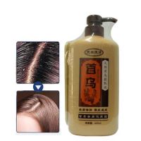 Professional Natural Chinese Medicine Extract Hair Shampoo Nourishing Anti Hair Loss Dandruff Shampoo Hair Care Products 625ML