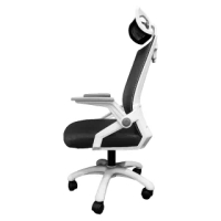 【木馬特實驗室】8C高背S型乳膠坐墊工學椅(電腦椅 人體工學椅 升降椅 辦公椅 書桌椅 電腦椅子 椅 高背椅)