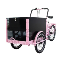 Electric Dutch Cargo Bike 3 Wheel Bicycle With Front Wooden Box City Bike For Family 36V 250W