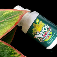 pupuk npos  pupuk cair  aglonema 100 ml untuk membantu pertumbuhan tanaman aglonema                 