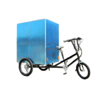 Popular Motorized Tricycles Pedal Assisted Electric Tricycle Cargo 3 Wheel Bike Adult For The Transportation Of Goods
