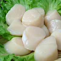 日本北海道生食級干貝 3S/1kg(盒)_BN002