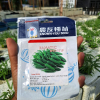Benih Bibit Cabe Cabai Jalapeno Known You Seed Kemasan Repack / Cabai Ekstra Pedas isi 10 Benih