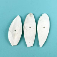 墨魚骨鸚鵡專用大塊補鈣零食小太陽鳥啃咬玩具玄鳳虎皮牡丹磨牙棒