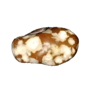 Batu Mustika Welut Putih Antik Sakral Lawasan - Batu Mustika Asli dengan Warna Putih dan Coklat