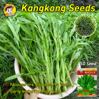 (Fast Growing 150 Seed) 100% Original Chinese Upland Kangkong Seeds for Planting Vegetables Plants B