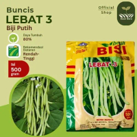 Benih Buncis LEBAT 3 Kemasan 500 gram